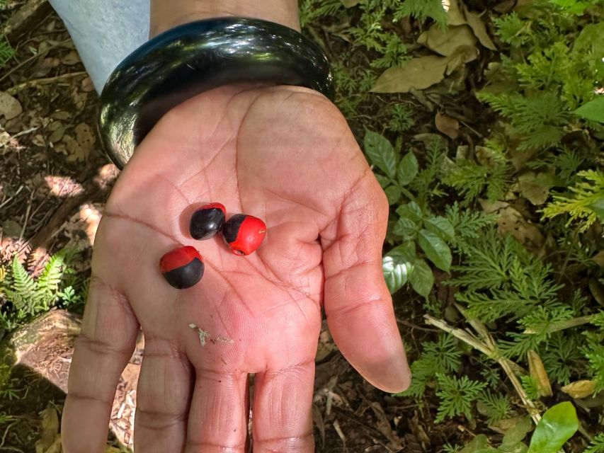 Vermont Nature Trail and Bird Watching Tour - Pickup details that matter