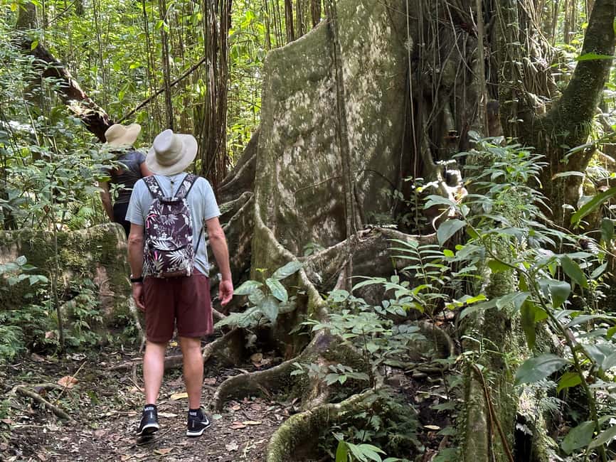 Vermont Nature Trail and Bird Watching Tour - Drinks, comfort, and what to pack