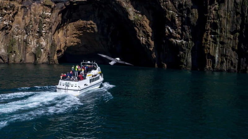 Vestmannaeyjar: Puffin, Island, and Volcano Boat Tour - Seeing the house on Elliðaey