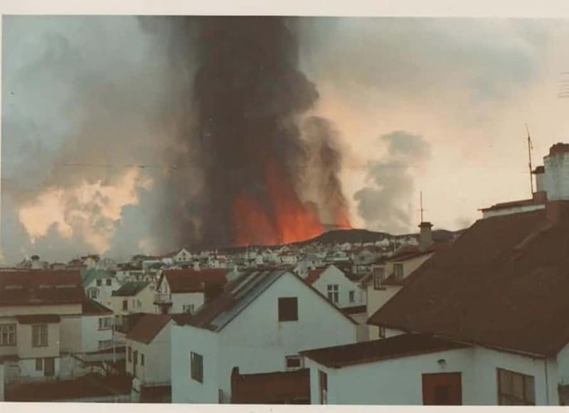 Vestmannaeyjar: Puffin, Island, and Volcano Boat Tour - Reading Heimaey’s 1973 lava from the water