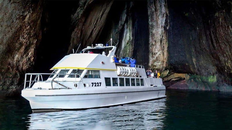 Vestmannaeyjar: Puffin, Island, and Volcano Boat Tour - What the guide adds to the hour