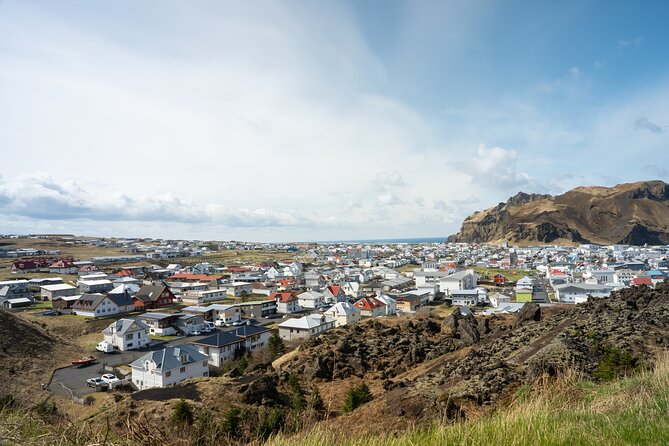 Vestmannaeyjar, Puffins & Volcanoes Small Group Day Tour - Eldheimar, the Pompeii of the North