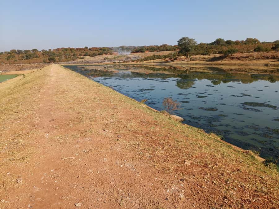 Victoria Falls: Private Birdwatching Safari near the town - Key points at a glance
