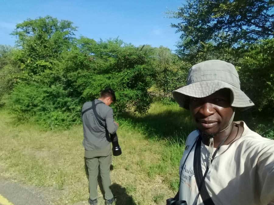 Victoria Falls: Private Birdwatching Safari near the town - The Zambezi River shore and its special birds