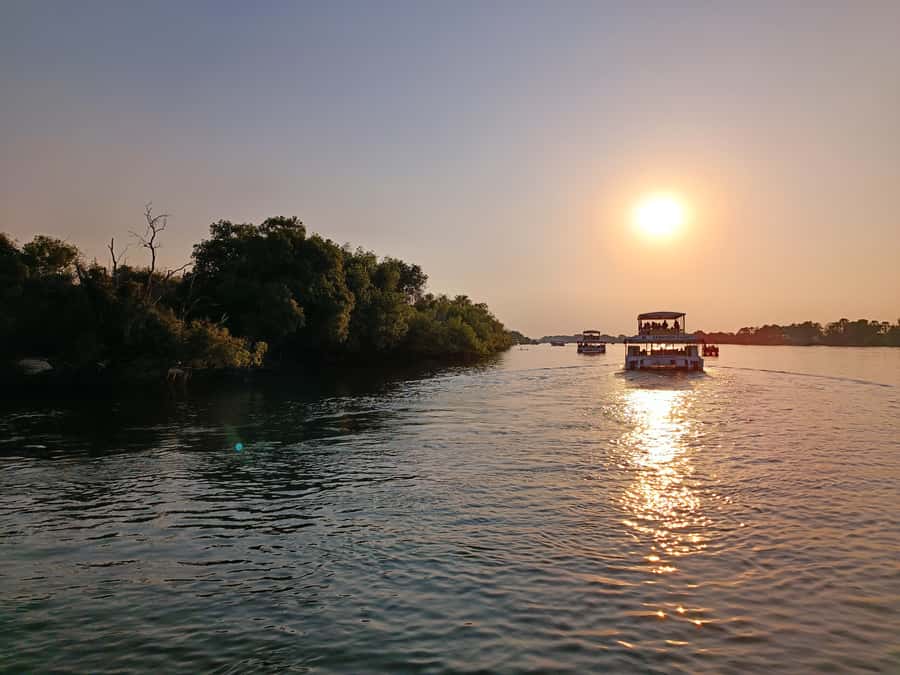 Victoria Falls: Private Zambezi River Birdwatching Safari - Searching the riverbanks for the African Finfoot