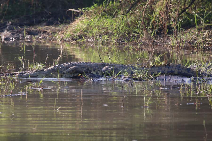 Victoria Falls: Private Zambezi River Birdwatching Safari - Weather, clothing, and the practical details