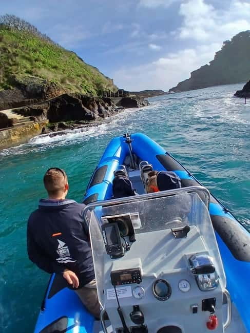 Vila Franca do Campo: Marine Life & Bird Watching & Islet Tour - A boat ride built around Azorean wildlife