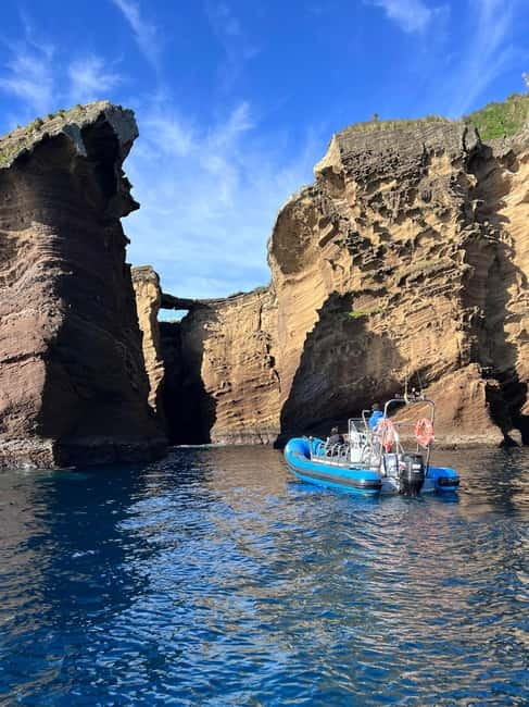 Vila Franca do Campo: Marine Life & Bird Watching & Islet Tour - Who will enjoy this outing most