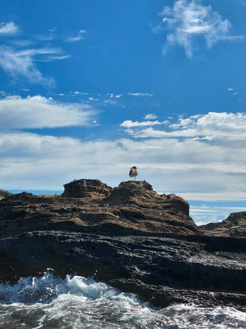 Vila Franca do Campo: Marine Life & Bird Watching & Islet Tour - Leaving Rua da Marina with only 10 people aboard