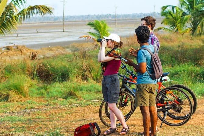 Village Bike Tour & Birdwatching - Pallithode Wetland and the first birdwatching stop