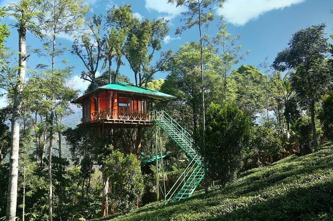 Village Walking Tour and Bird Watching - What the $22.67 price really covers