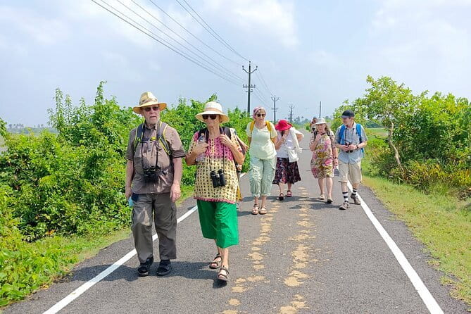 Village Walking Tour and Bird Watching - Fish farms and the work behind the scenery
