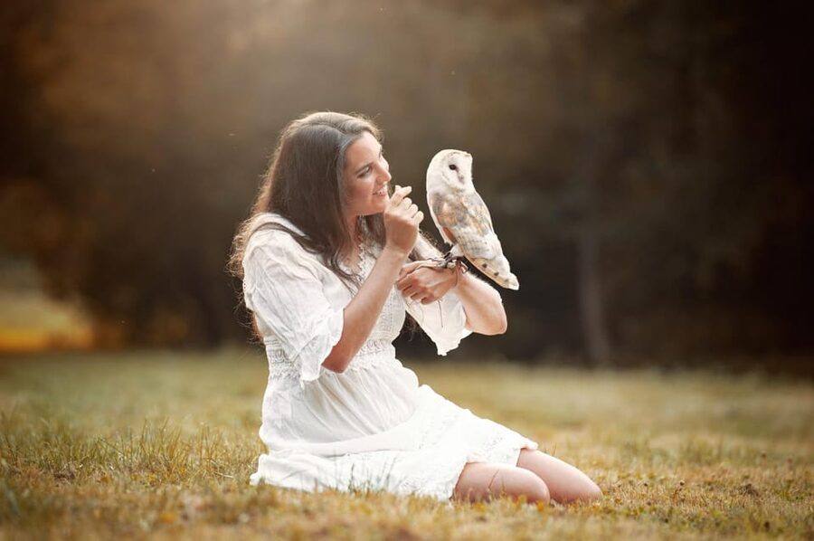 VIP falconry taster session - Meeting Ari and the Birds of Prey
