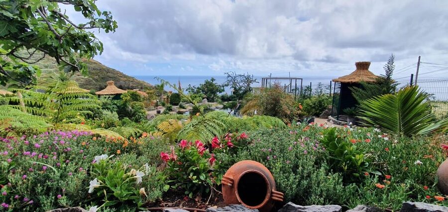 Visit to Madeira Bird Island - Why Madeira Bird Island works as a short nature outing