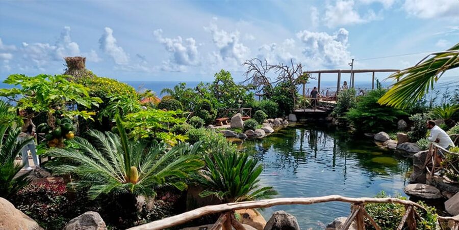 Visit to Madeira Bird Island - What the $8 ticket really buys you