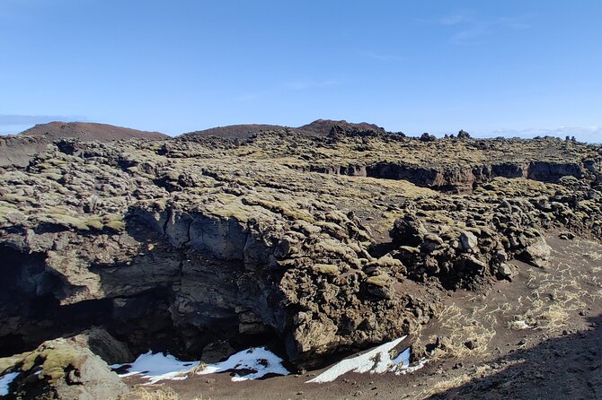 Volcanic Vistas & Puffin Paradise ATV Tour - Timing, meeting point, and cruise ship planning