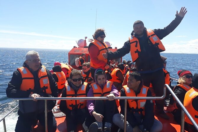 Walk alongside Penguins on Magdalene Island and navigate Marta Island - The boat ride from Punta Arenas to the islands