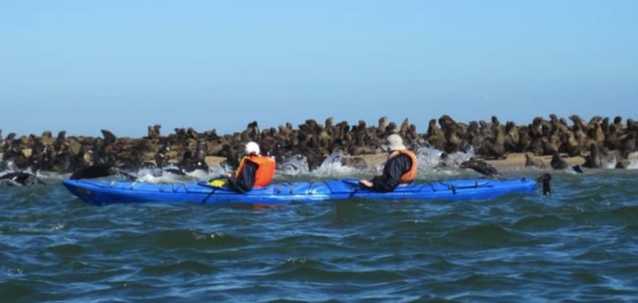 Walvis Bay: Pelican Point Kayaking Tour - Reaching the lighthouse and shipwreck