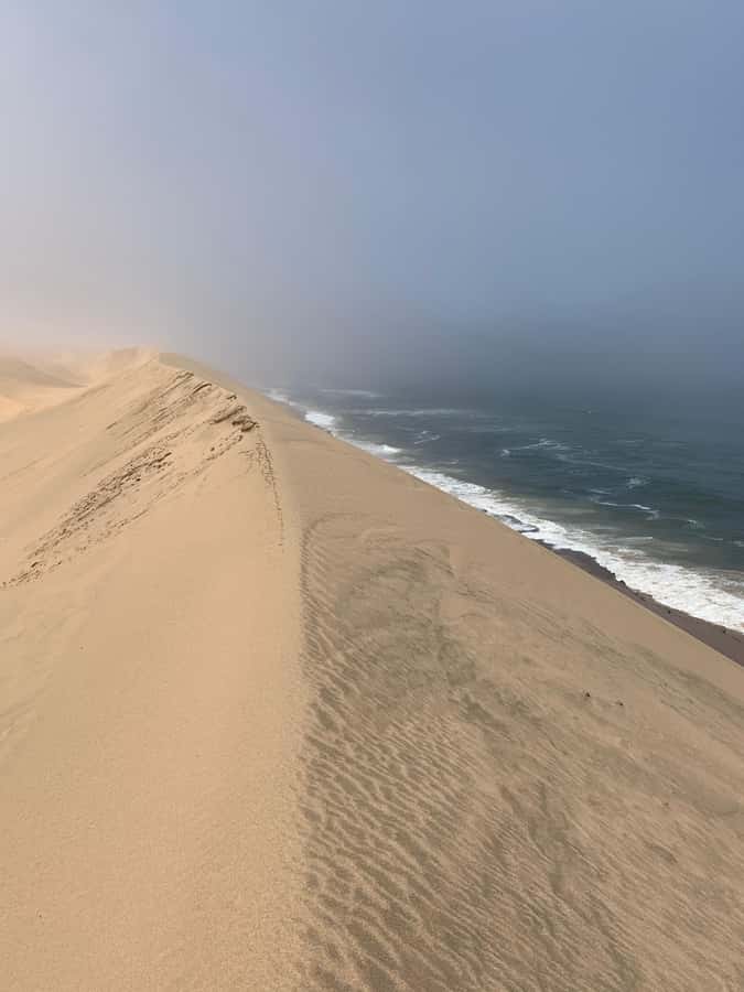 Walvis Bay: Pelican Point Seal and Sandwich Harbour Tour - From Swakopmund to Walvis Bay