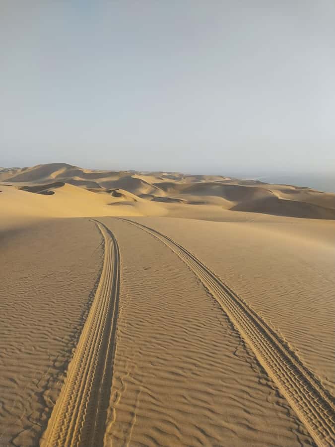 Walvis Bay: Pelican Point Seal and Sandwich Harbour Tour - A desert game drive through the !Nara Valley