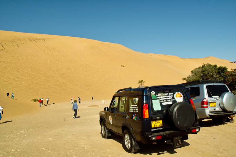 Walvis Bay Shore Excursion: Flamingos, Dune 7, Swakopmund - The Coastal Return to Your Ship