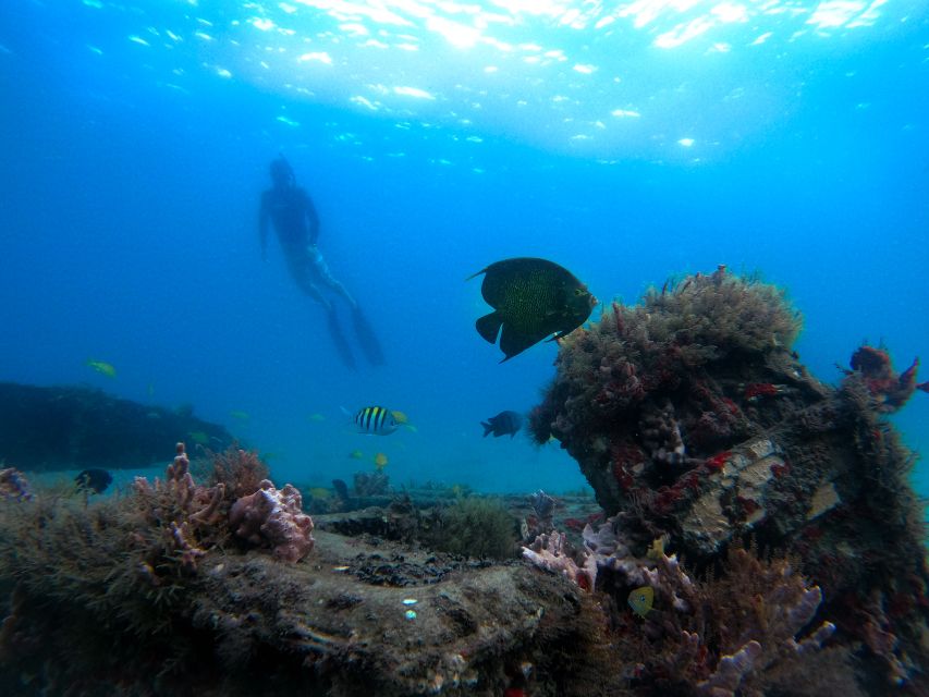 West Palm Beach: Blue Heron Bridge Guided Snorkeling Tour - Meeting your guide at Phil Foster Park
