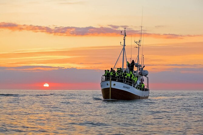 Whales and Puffins Tour from Husavik - Puffin Island and the first hour on the water