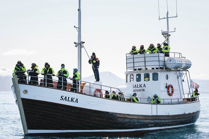 Whales and Puffins Tour from Husavik - Húsavík, parking, and the Akureyri confusion