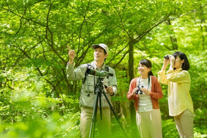Wild Bird Sanctuary Forest Guided Tour in Nagano - What You Actually Do in Two Hours