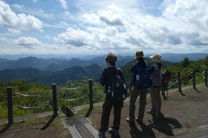 Wild Bird Sanctuary Forest Guided Tour in Nagano - Is $16.42 Good Value?