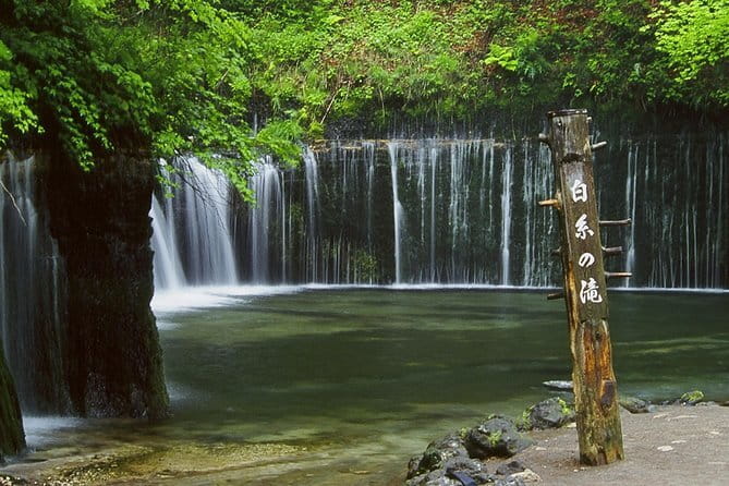Wild Bird Sanctuary Forest Guided Tour in Nagano - Booking Timing and Practical Details