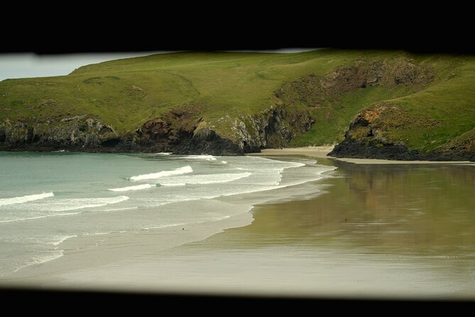 Wildlife and Penguin Tour - Three parts make this more than a lookout stop