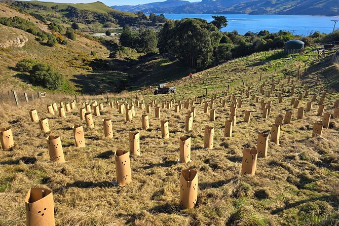 Wildlife and Penguin Tour - A small group keeps the experience personal
