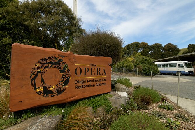 Wildlife and Penguin Tour - The rehabilitation centre gives you a closer look