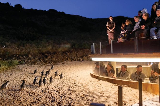 Wilson's Promontory & Phillip Island - 'Prom & Penguins' Tour - Lilly Pilly Gully for a quieter walk