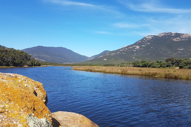 Wilson's Promontory & Phillip Island - 'Prom & Penguins' Tour - Transport, group size, and the value of a private day