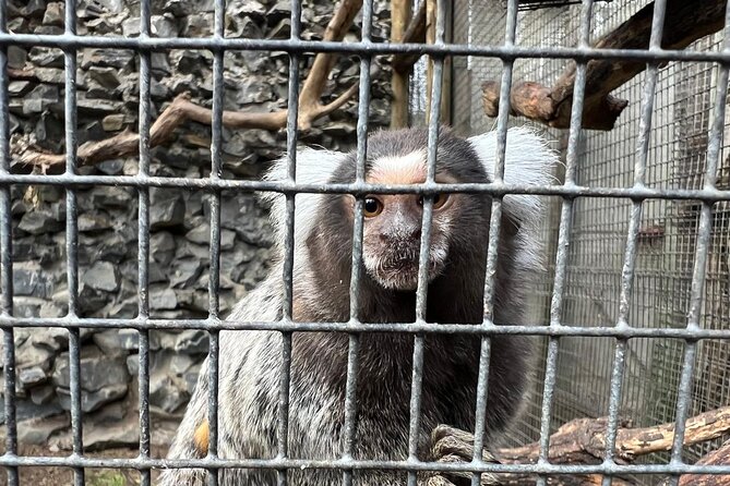 World of Birds, Kirstenbosch and Constantia Wine Private Day Tour - Constantia and the cost of tasting wine
