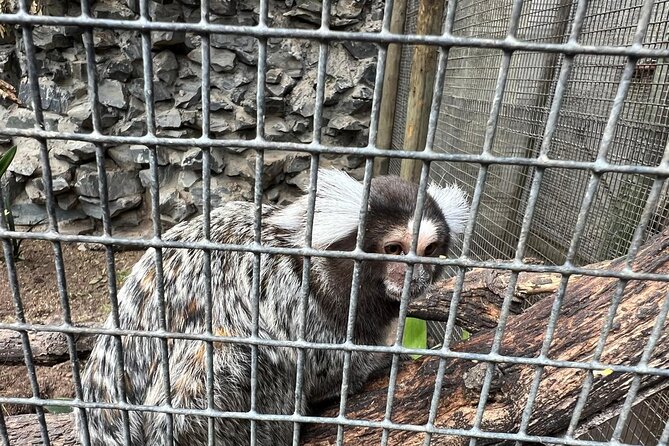 World of Birds, Kirstenbosch and Constantia Wine Private Day Tour - What the private format is really worth
