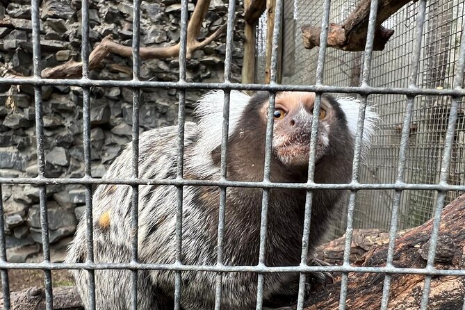 World of Birds, Kirstenbosch and Constantia Wine Private Day Tour - Practical details before you book