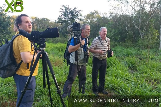 Xocen Birding - Key Points at a Glance