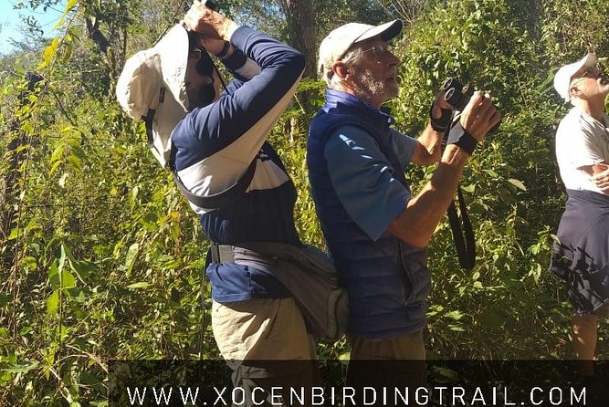 Xocen Birding - Why the 6:00 am Start Matters