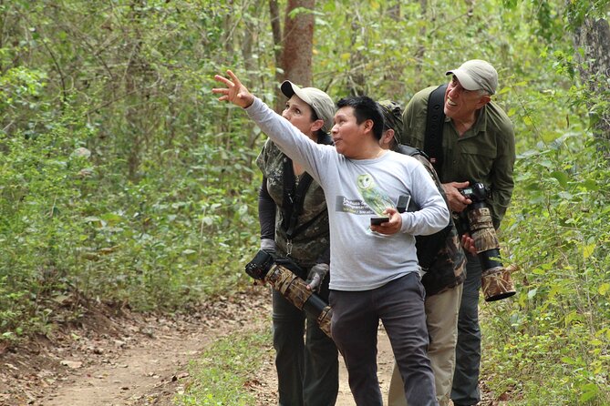 Xocen Birding - Price and What You Receive