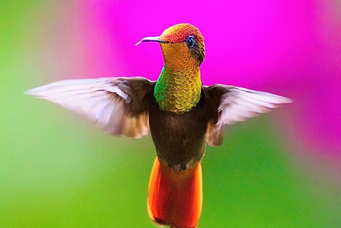 Yerette Home of the Hummingbird - How private is the private tour?