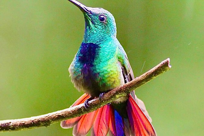 Yerette Home of the Hummingbird - Is $96.25 per person fair?