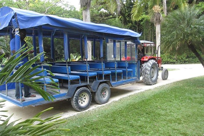 YS Falls and The Pelican Bar Adventure Tour from Negril - Two very different south coast stops in one day