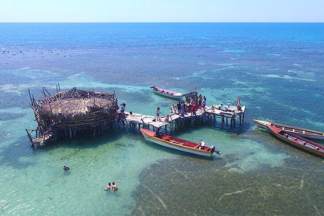 YS Falls and The Pelican Bar Adventure Tour from Negril - Who should book this experience?