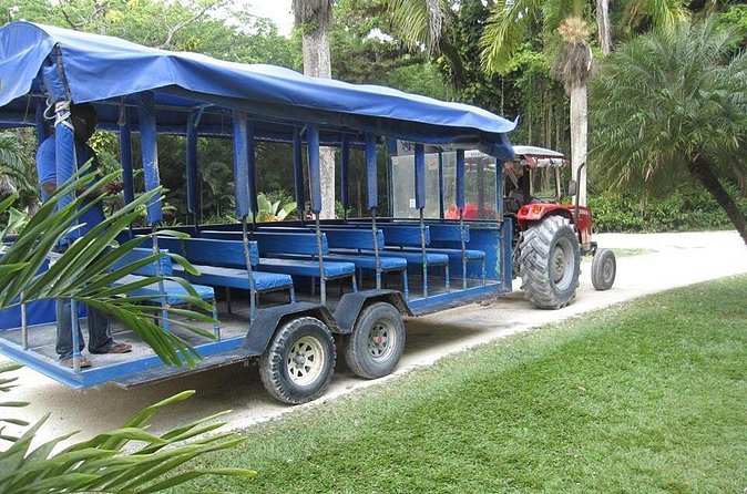 YS Falls and The Pelican Bar Adventure Tour from Negril - Booking, timing, and cancellation details
