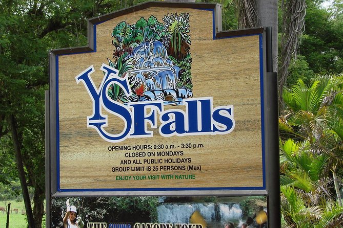 YS Falls, Black River Safari, and Floyd's Pelican Bar Day-Trip (Transportation) - Floyd’s Pelican Bar: Jamaica’s most unusual final stop