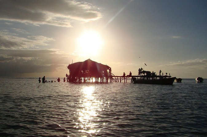YS Falls, Black River Safari, and Floyd's Pelican Bar Day-Trip (Transportation) - The real cost and the best type of booking