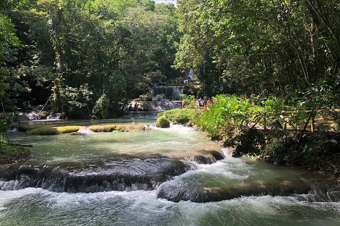 YS Falls, Black River Safari, and Floyd's Pelican Bar Day-Trip (Transportation) - Black River Safari: a calm cruise through wetland country